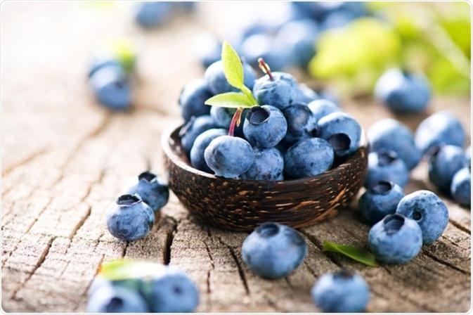 Blue Berries Hotel Entebbe Dış mekan fotoğraf